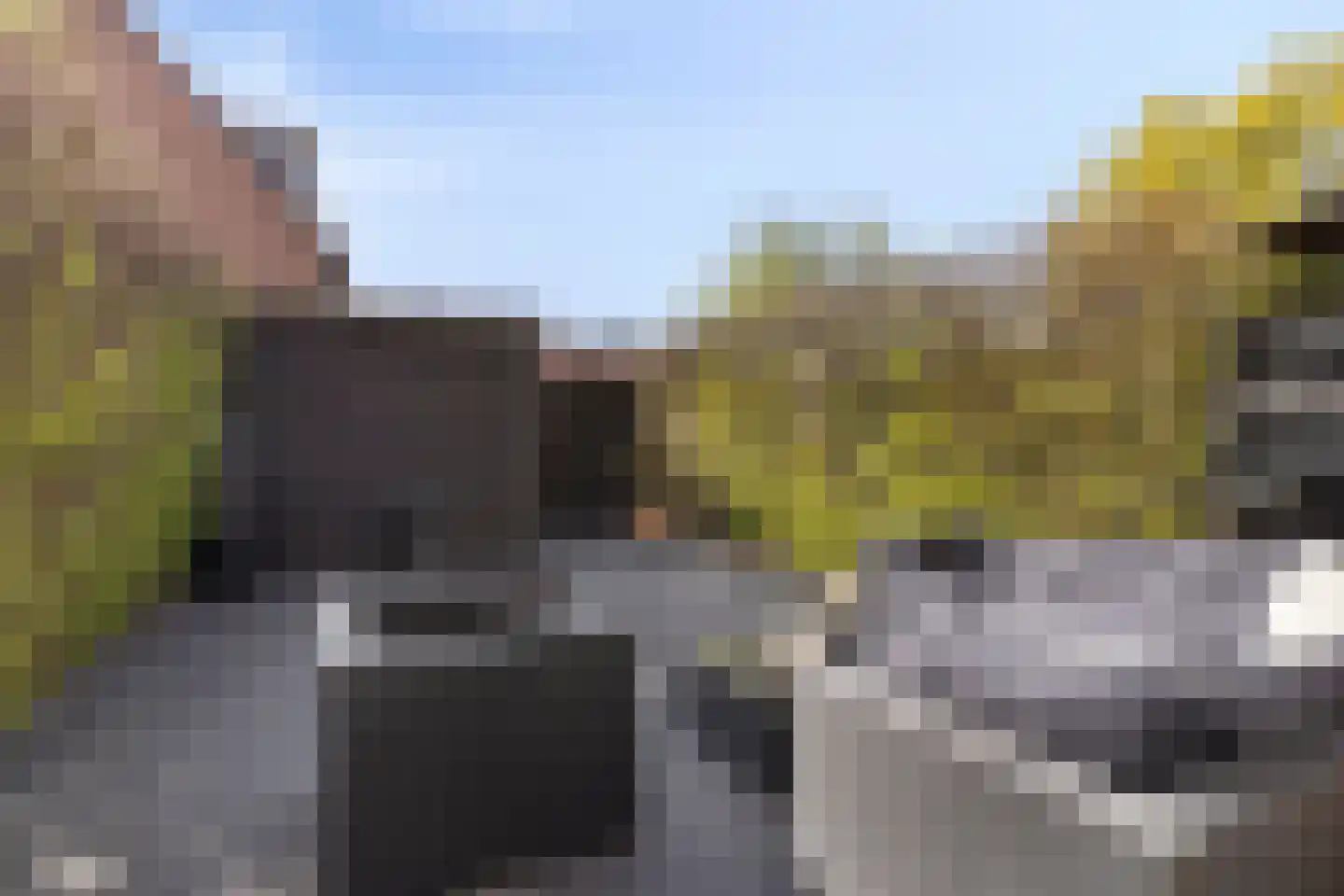 Bremstraat 7 Almelo thumbnail 21