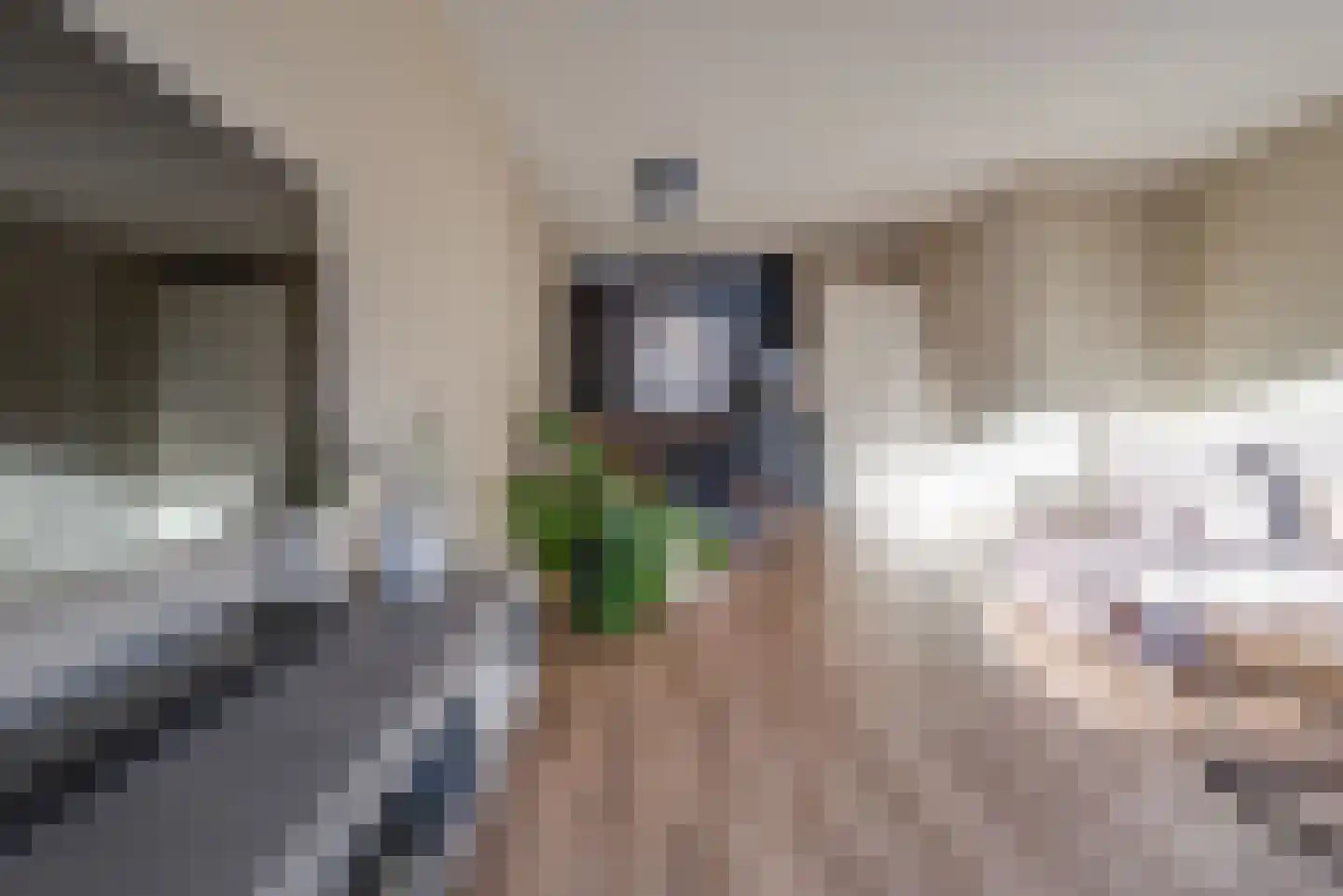 Bremstraat 7 Berkel en Rodenrijs thumbnail 10