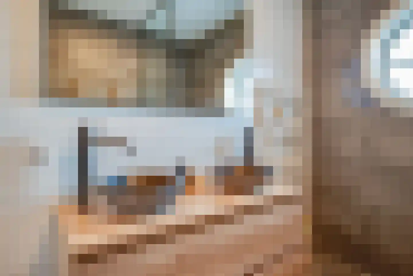 Bremstraat 7 Berkel en Rodenrijs thumbnail 19