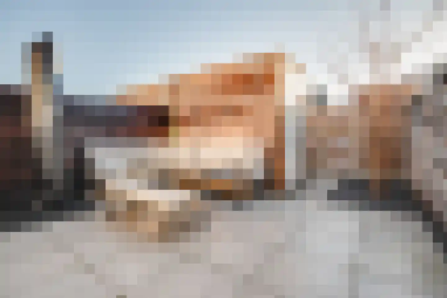 Bremstraat 7 Berkel en Rodenrijs thumbnail 33