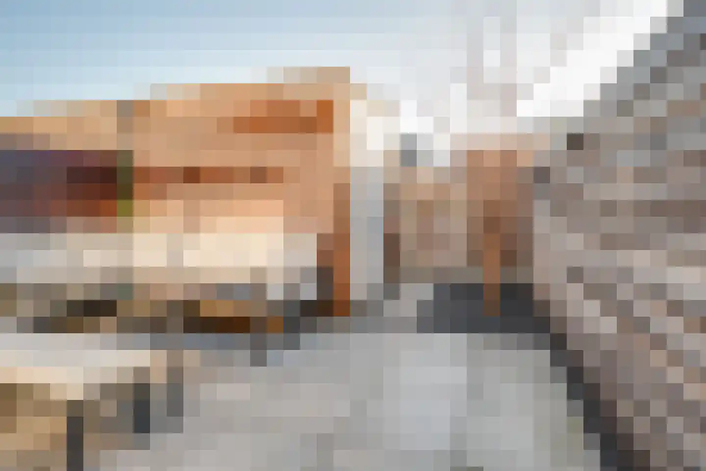 Bremstraat 7 Berkel en Rodenrijs thumbnail 4