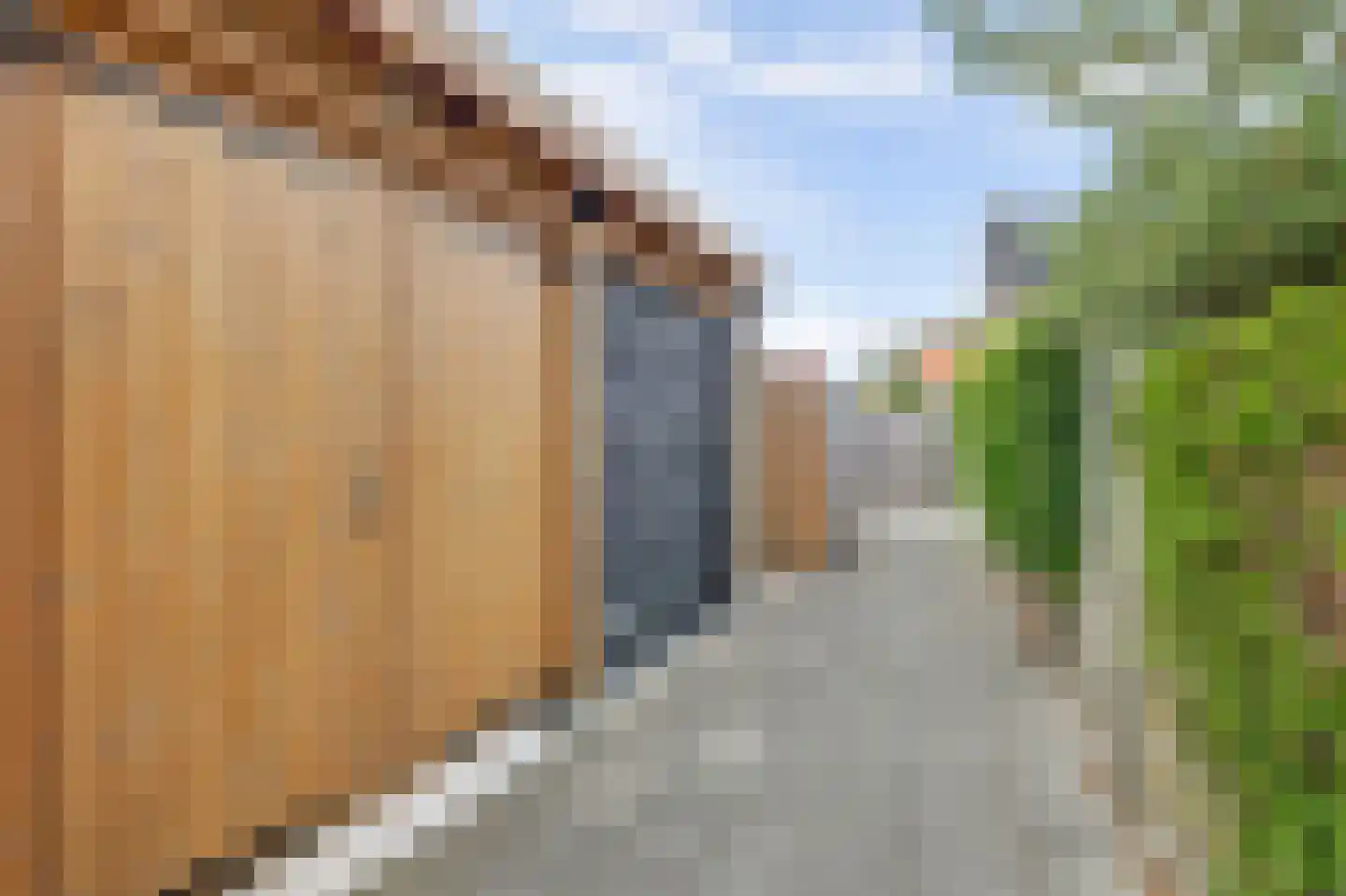 Bremstraat 77 Den Helder thumbnail 30