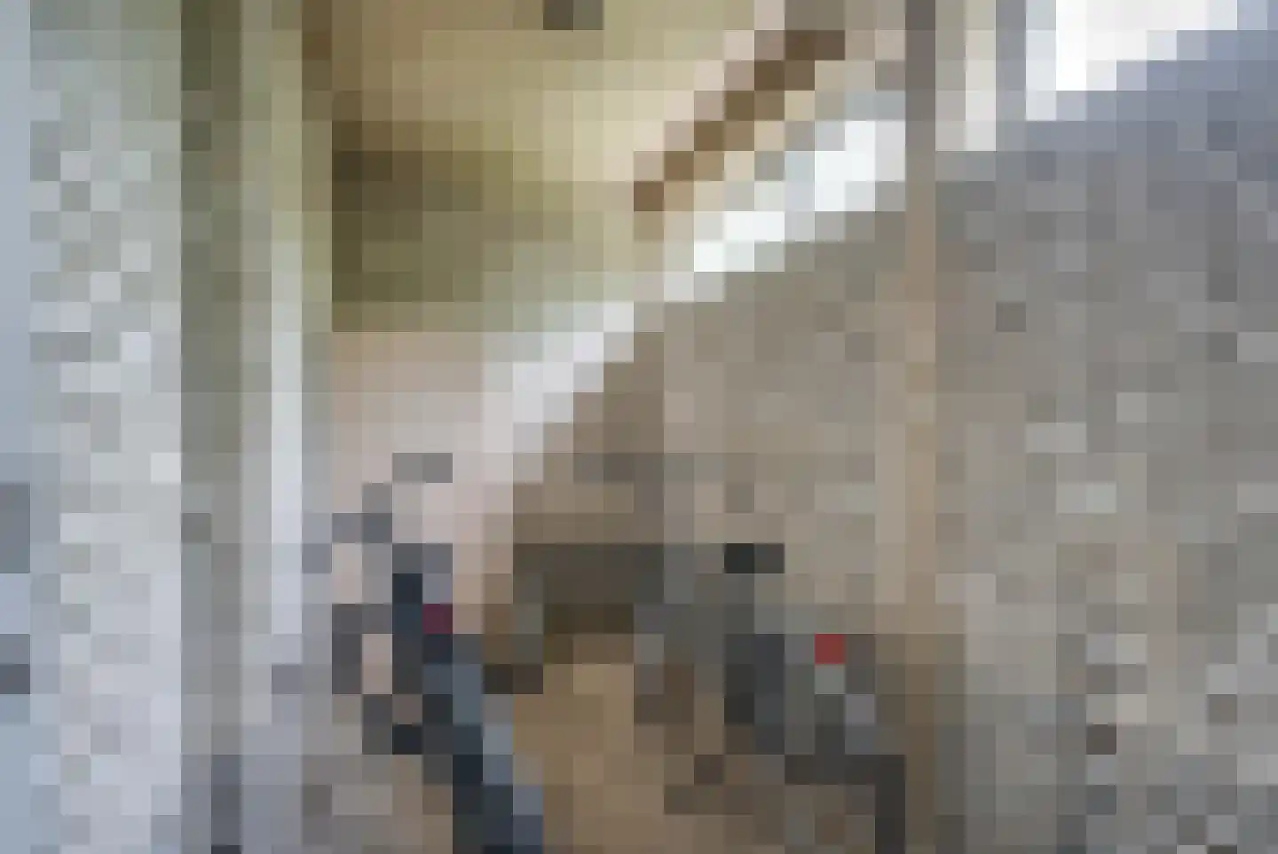 Bremstraat 77 Groningen thumbnail 31