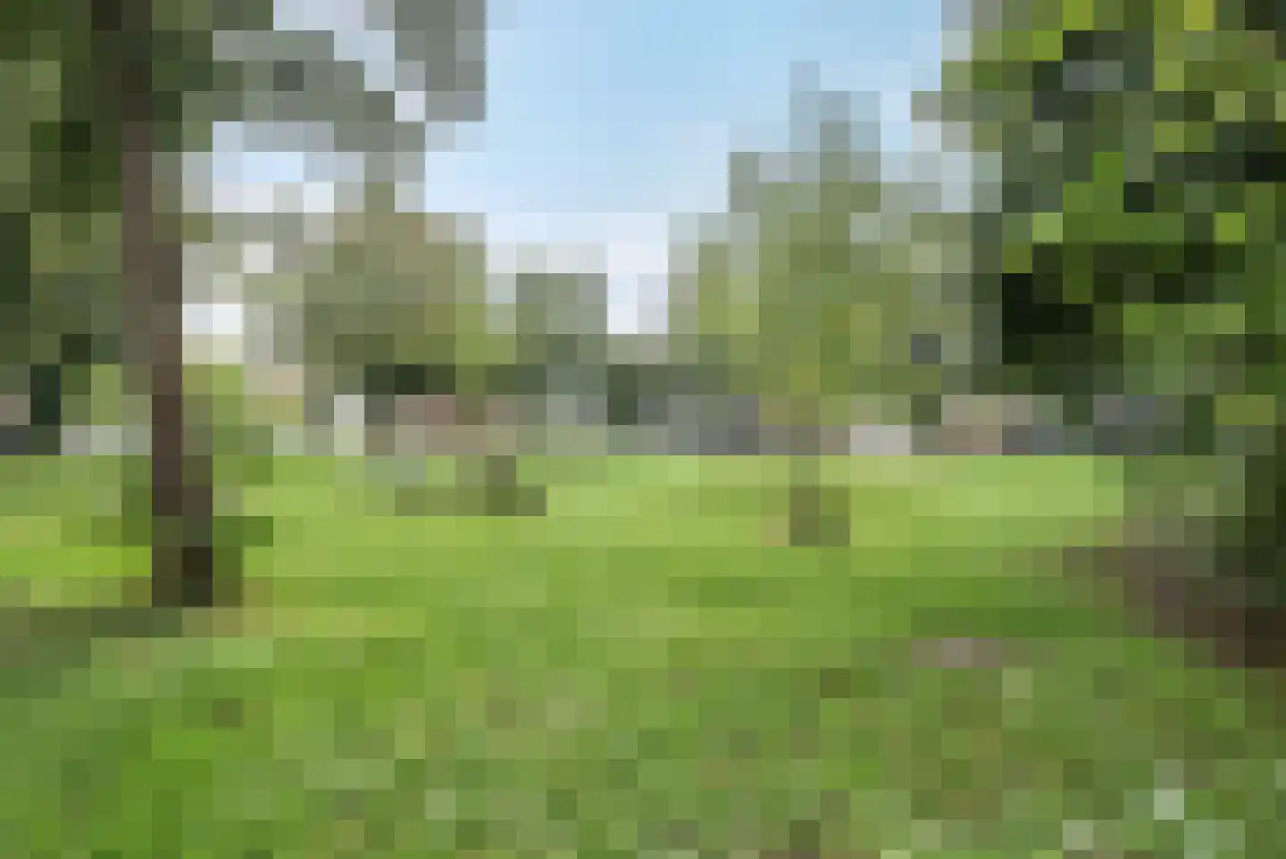 Bremstraat 77 Groningen thumbnail 7