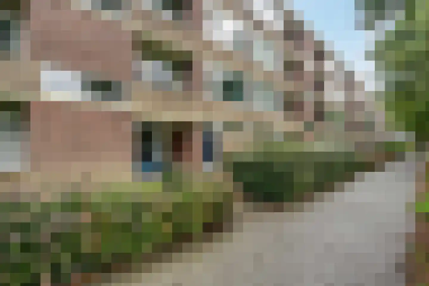 Bremstraat 77 Groningen thumbnail 9