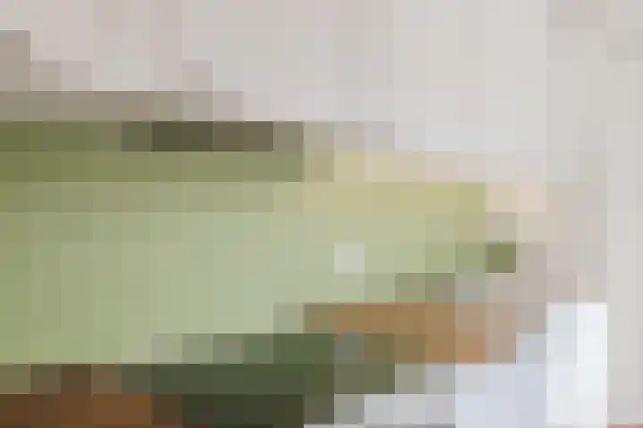Bremstraat 77 Utrecht thumbnail 11