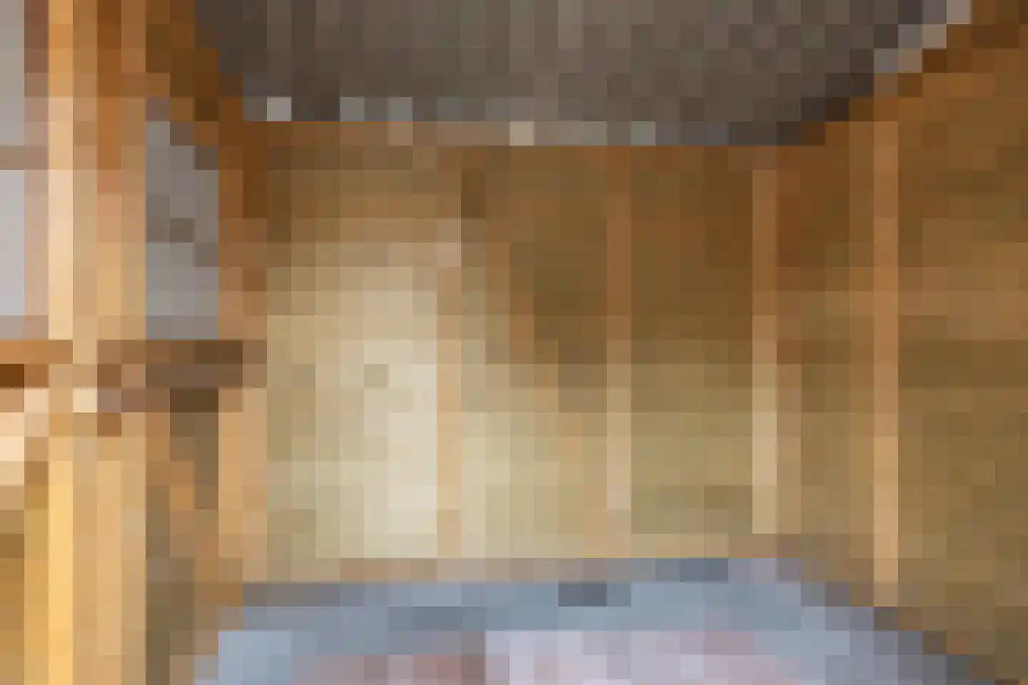 Bremstraat 8 Oudeschoot thumbnail 8