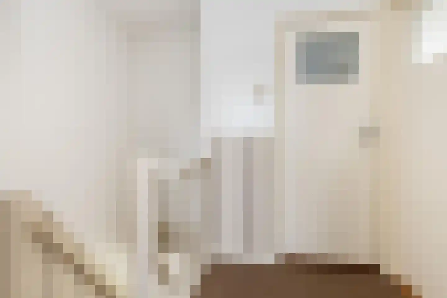 Bremstraat 8 Oudeschoot thumbnail 9