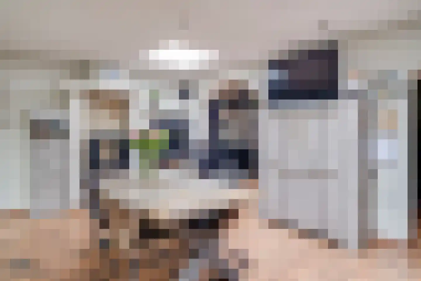 Bremstraat 8 Reuver thumbnail 17