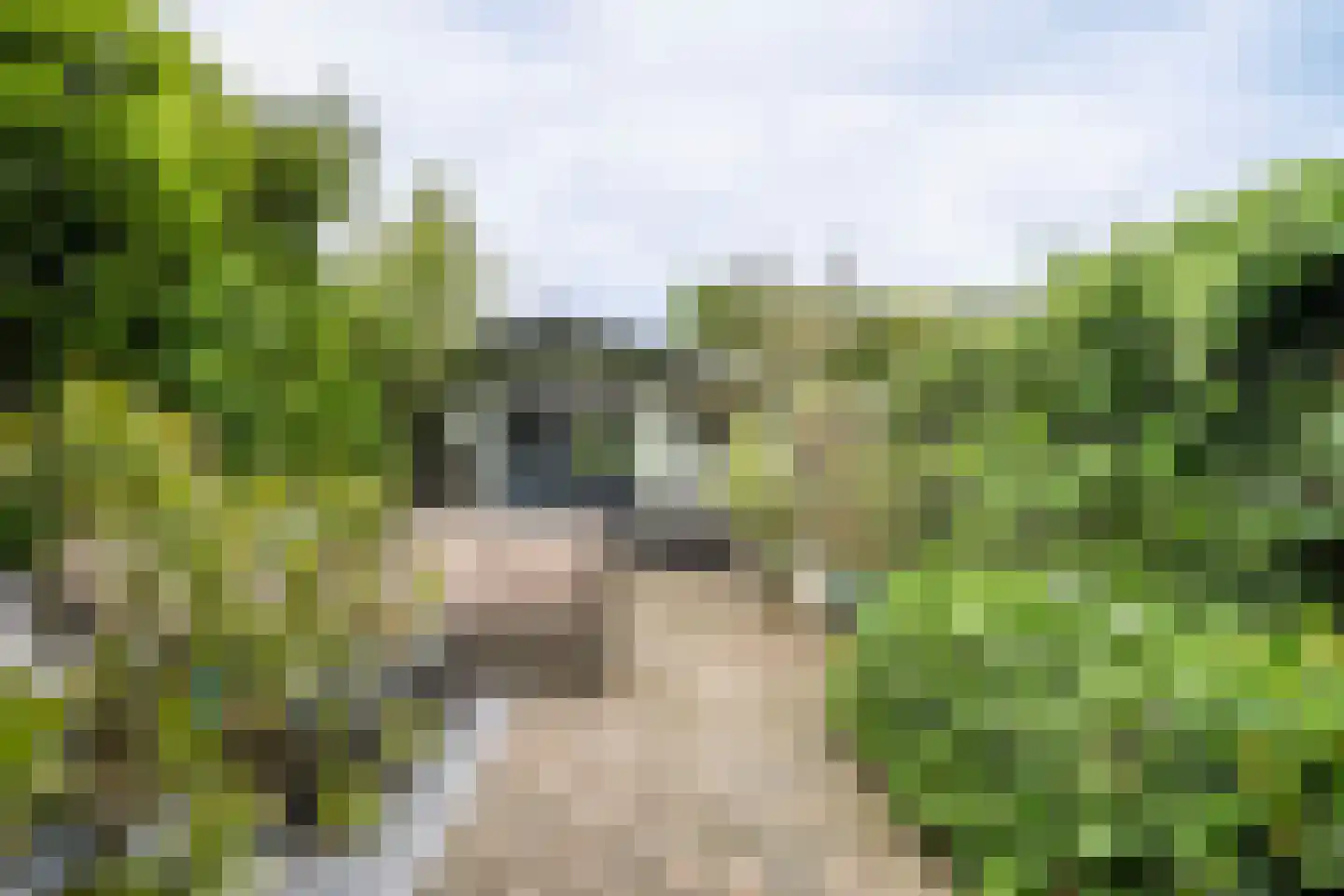 Bremstraat 8 Reuver thumbnail 22