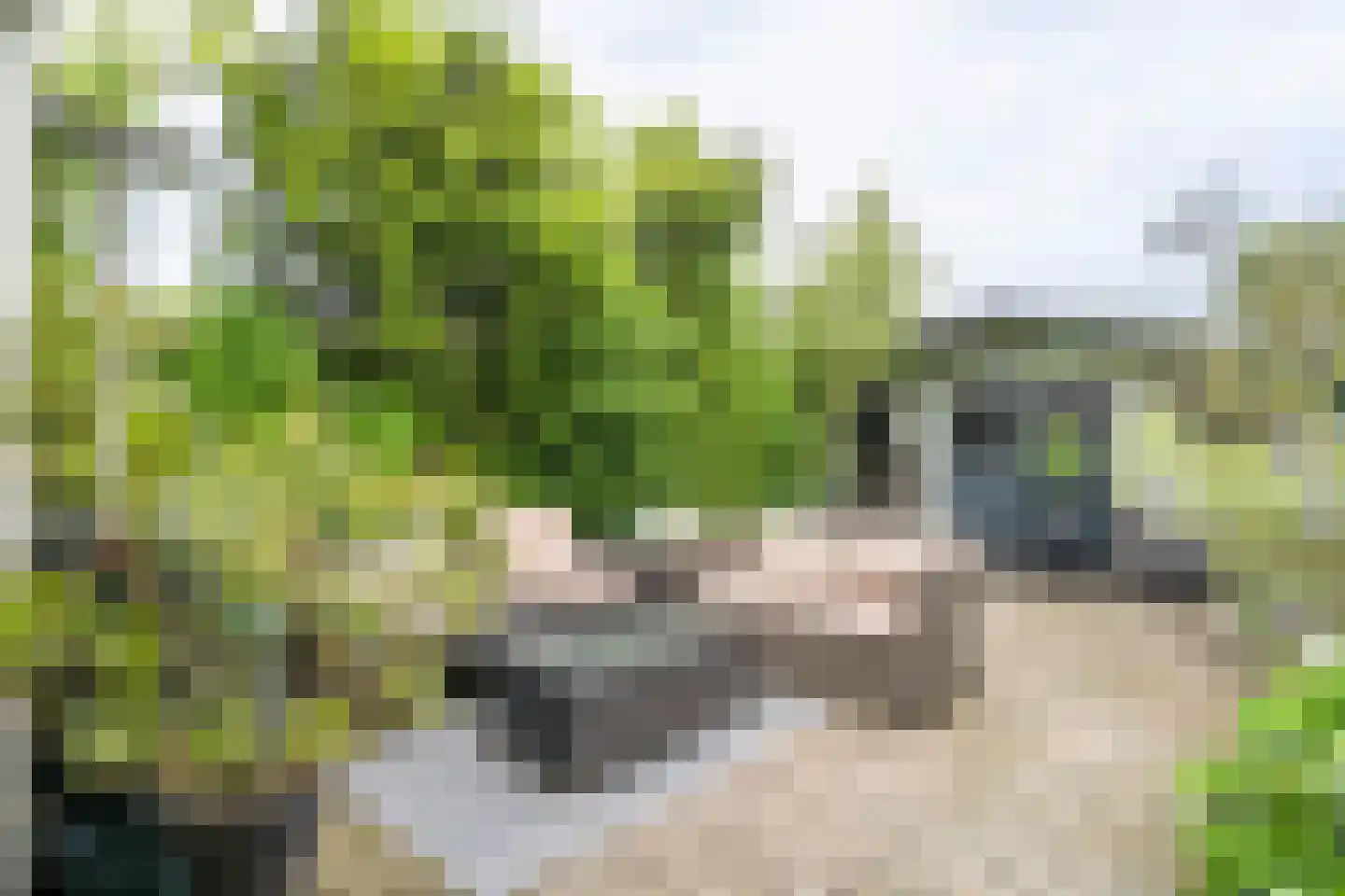 Bremstraat 8 Reuver thumbnail 23