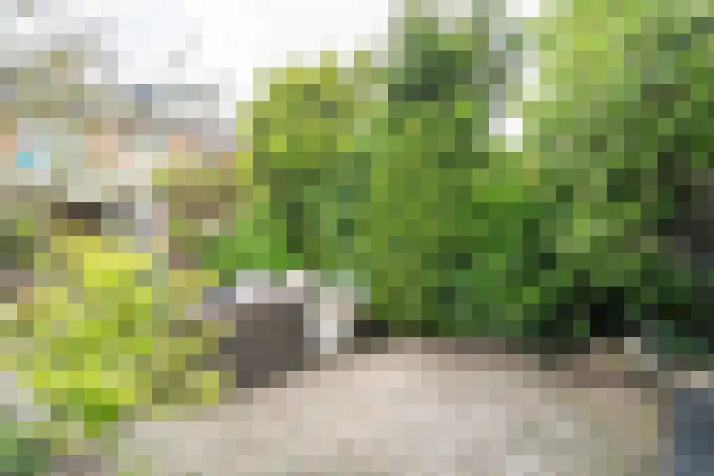 Bremstraat 8 Reuver thumbnail 25