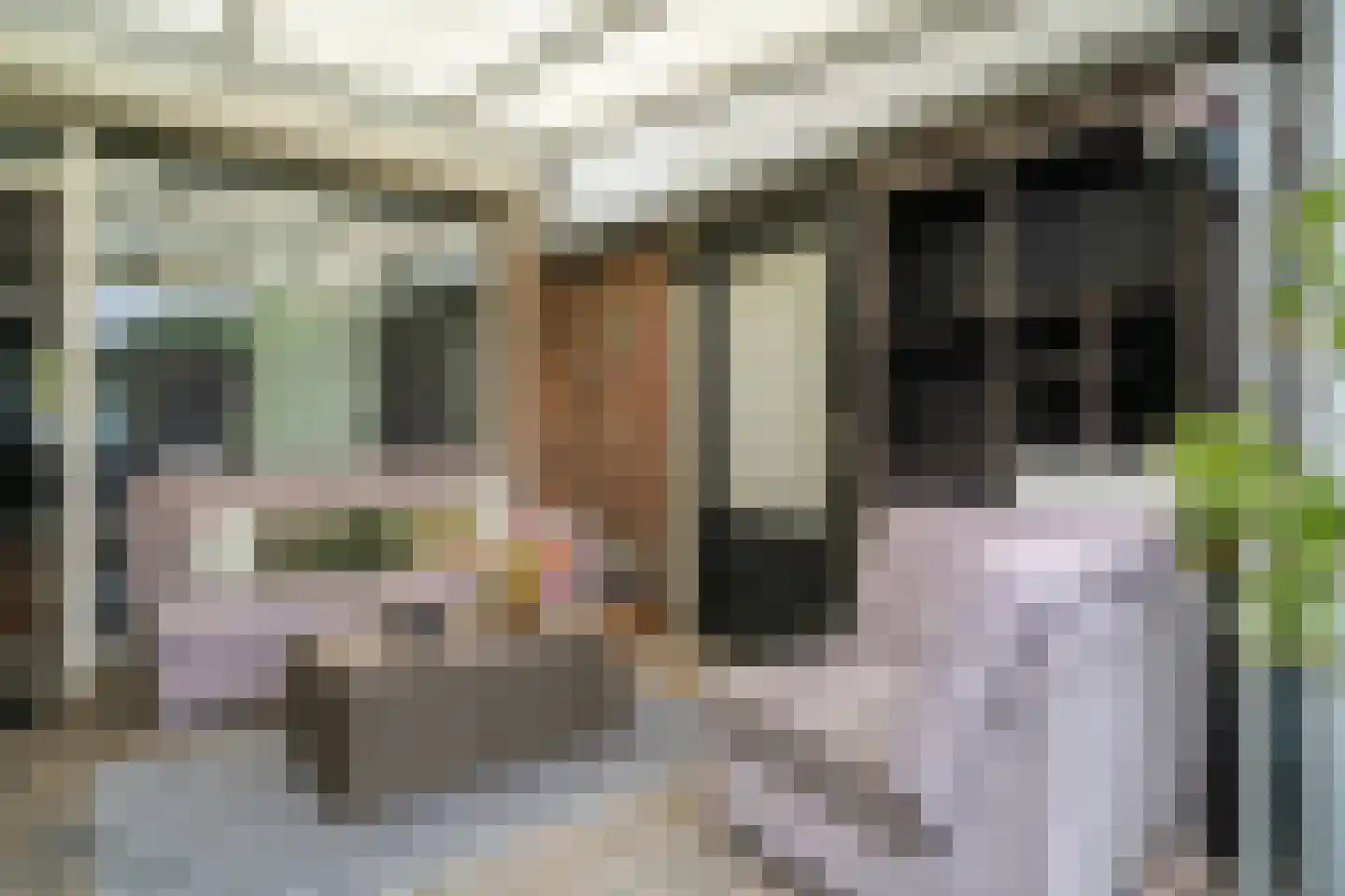 Bremstraat 8 Reuver thumbnail 28