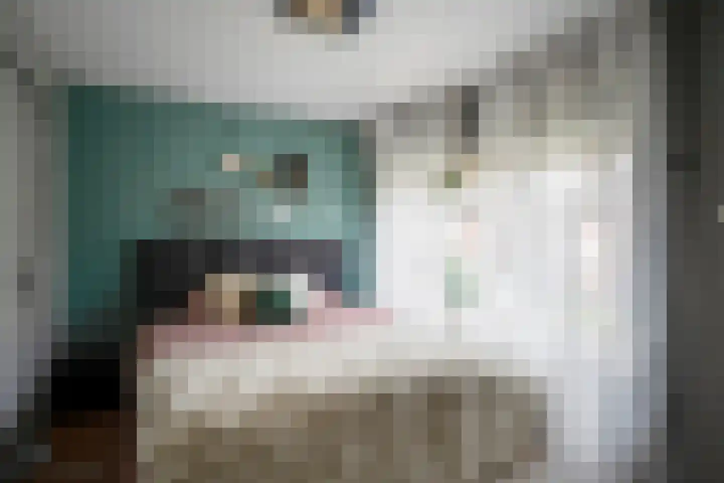 Bremstraat 8 Reuver thumbnail 35