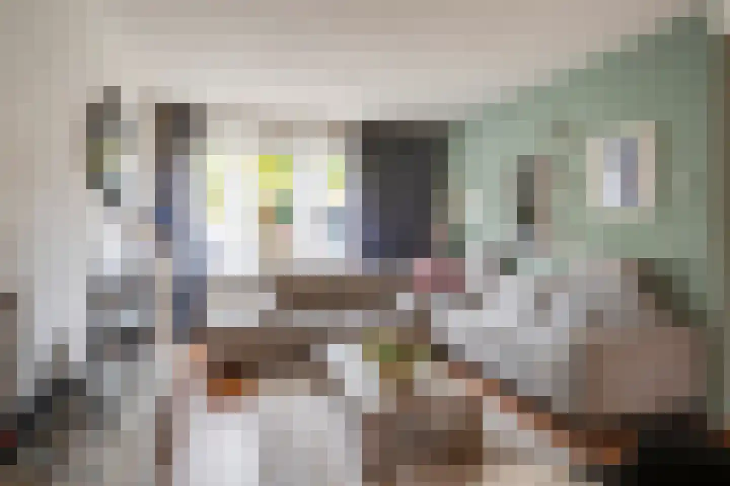 Bremstraat 8 Reuver thumbnail 8