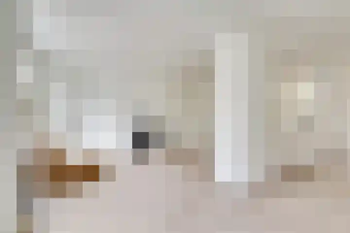 Bremstraat 83 Utrecht thumbnail 8