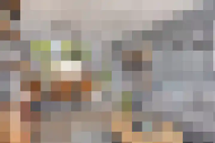 Bremstraat 9 Drunen thumbnail 12
