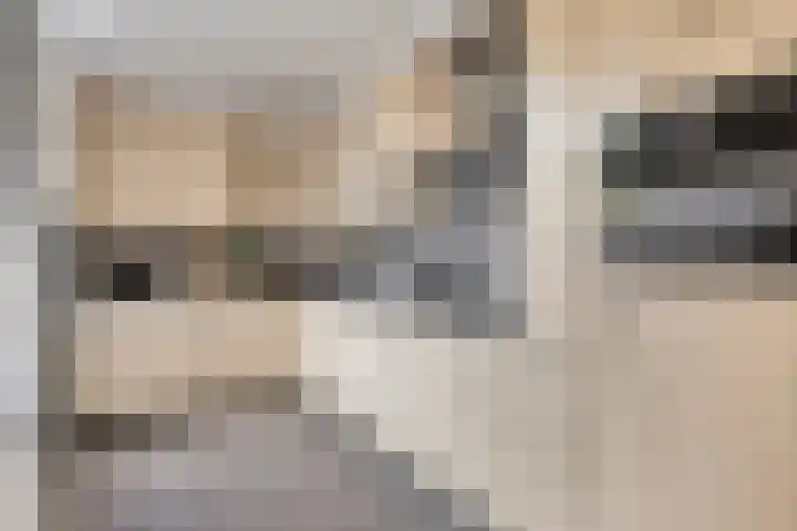Bremstraat 9 Drunen thumbnail 15