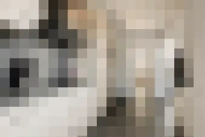 Bremstraat 9 Drunen thumbnail 17