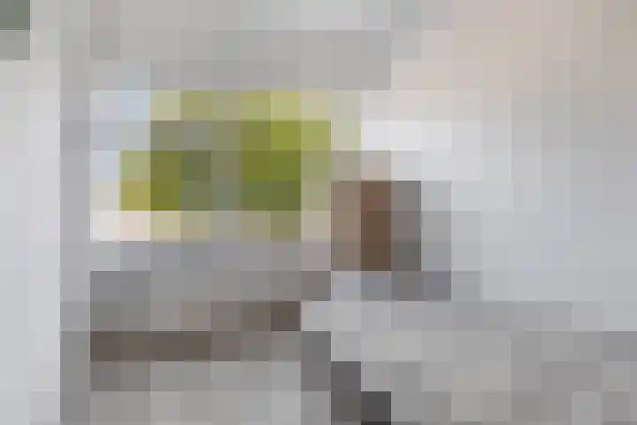 Bremstraat 9 Drunen thumbnail 19