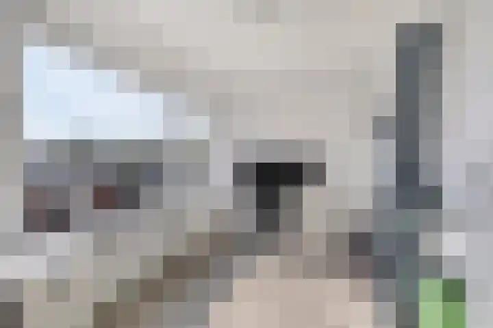 Bremstraat 9 Drunen thumbnail 22
