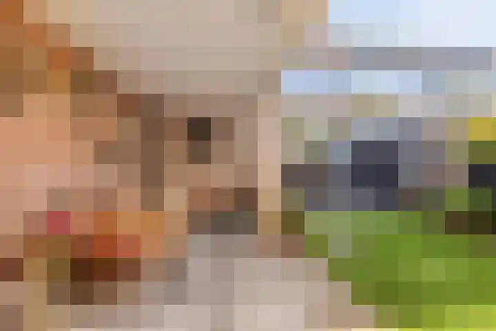 Bremstraat 9 Drunen thumbnail 26