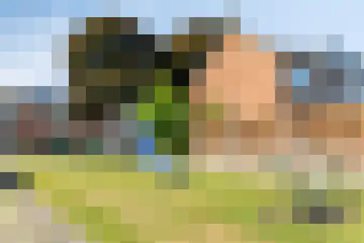 Bremstraat 9 Drunen thumbnail 35