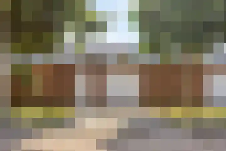 Bremstraat 9 Drunen thumbnail 4