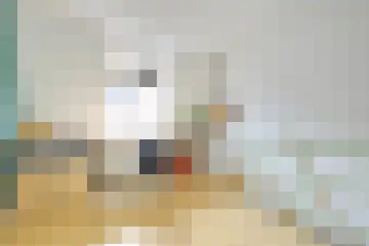 Bremstraat 94 Utrecht thumbnail 33