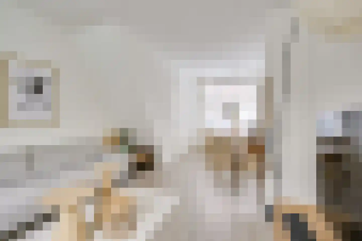 Bremstraat 96 Utrecht thumbnail 12