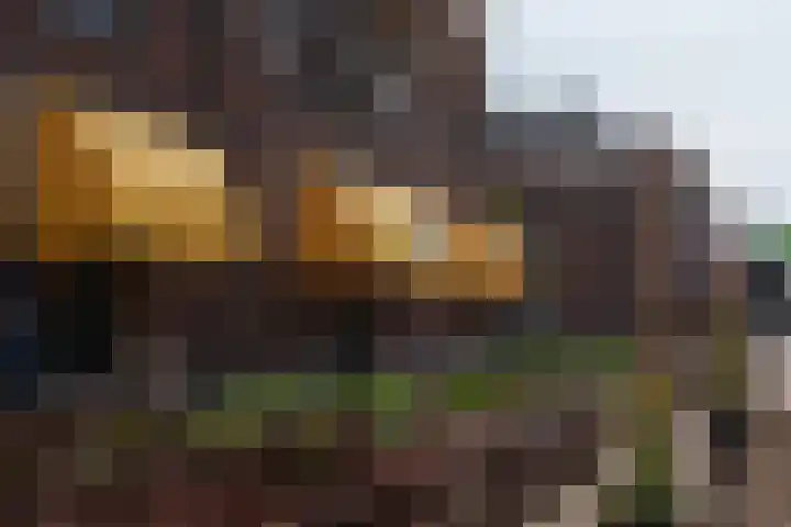 Bremstraat 96 Utrecht thumbnail 41