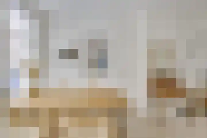 Bremstraat 96 Utrecht thumbnail 6