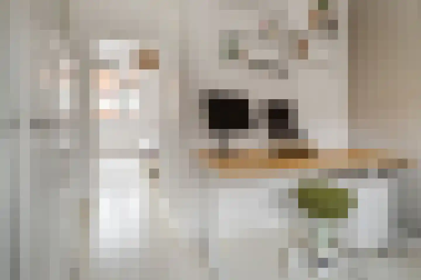 Bremstraat 98 Utrecht thumbnail 24