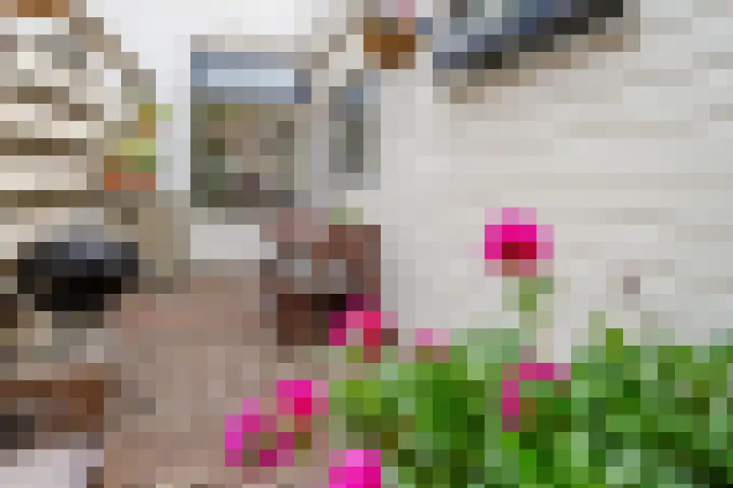 Bremstraat 98 Utrecht thumbnail 26