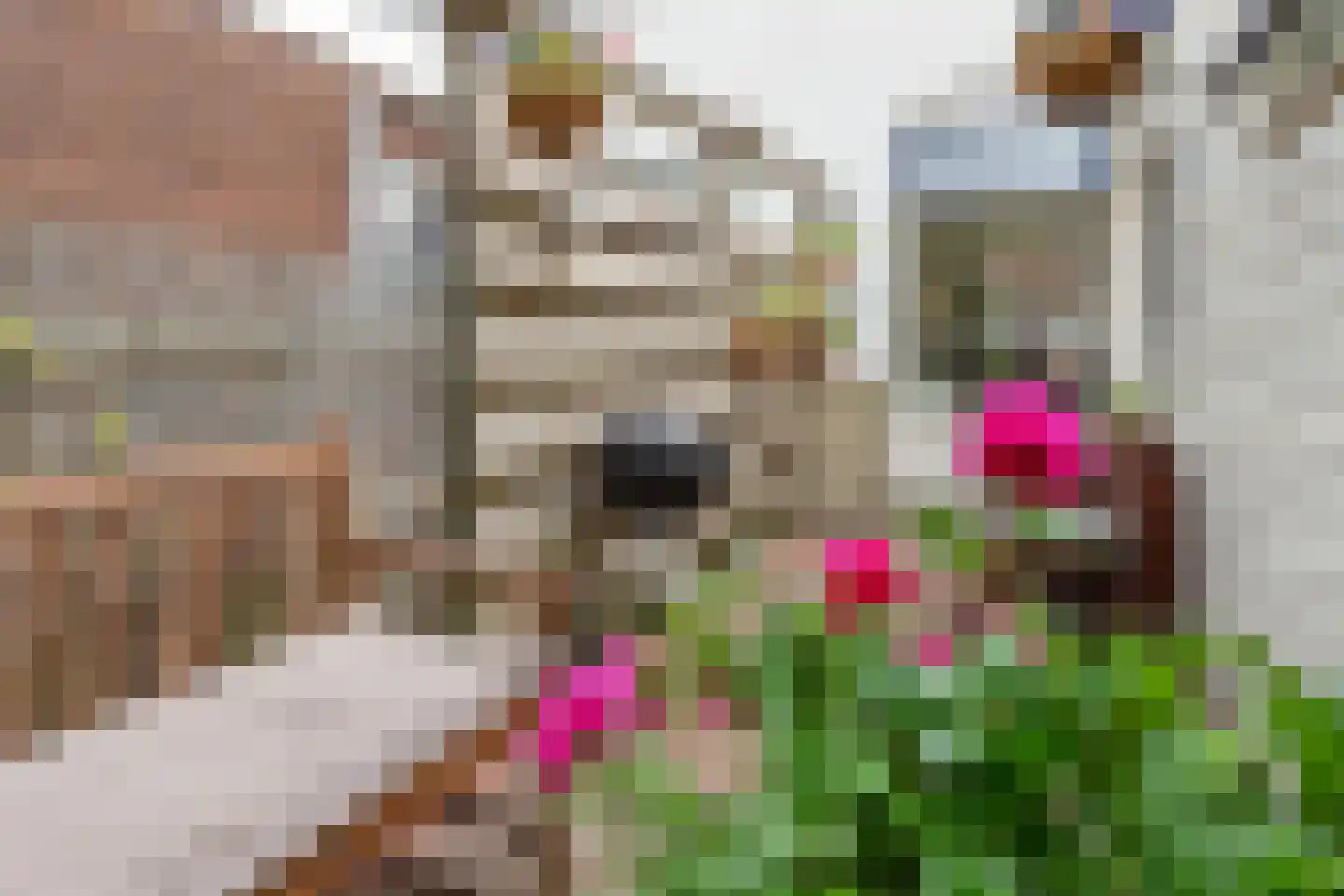 Bremstraat 98 Utrecht thumbnail 27