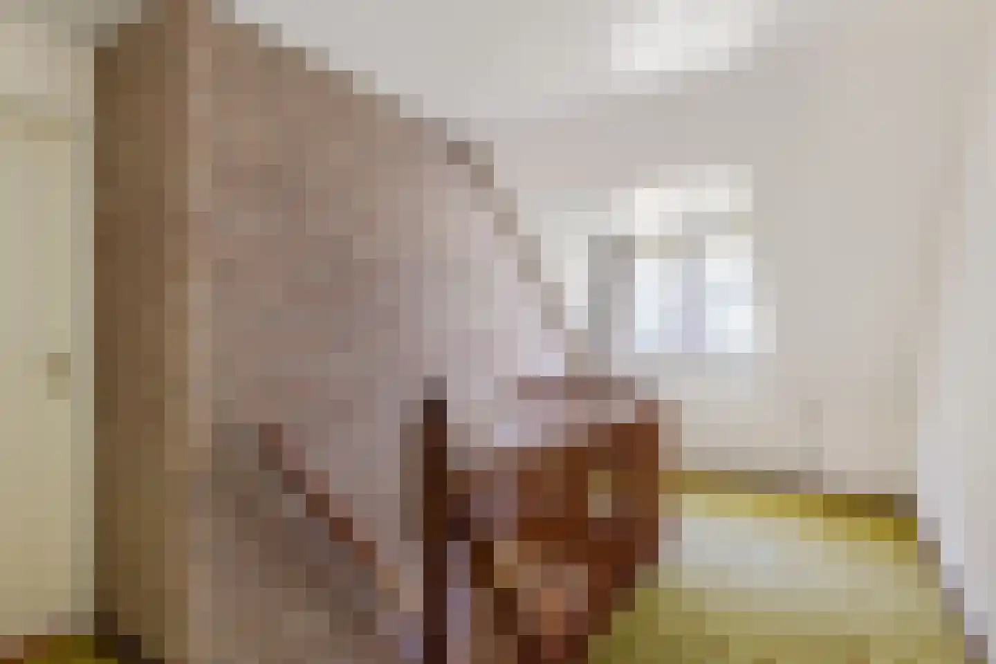 Bremweg 16 Mill thumbnail 17