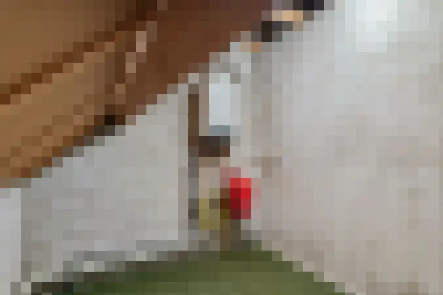 Bremweg 16 Mill thumbnail 23