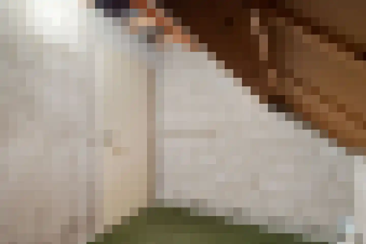 Bremweg 16 Mill thumbnail 24