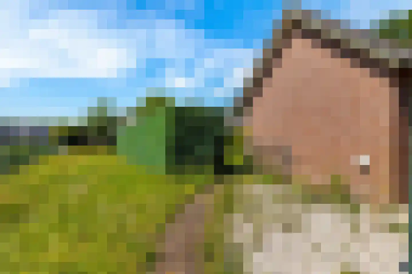 Bremweg 16 Mill thumbnail 35