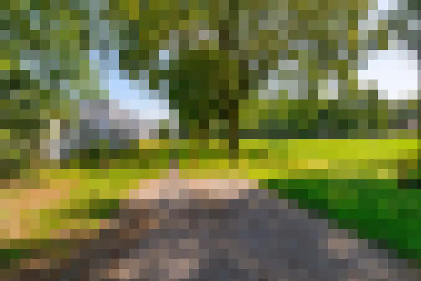 Bremweg 16 Mill thumbnail 38