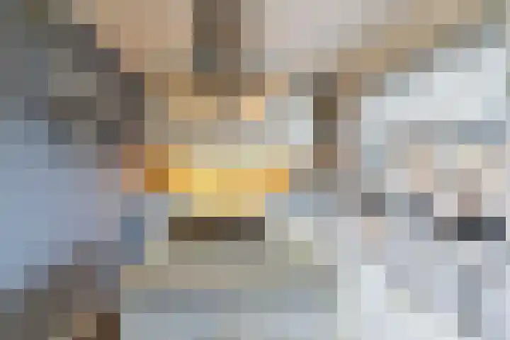 Bremweg 17 Venlo thumbnail 12