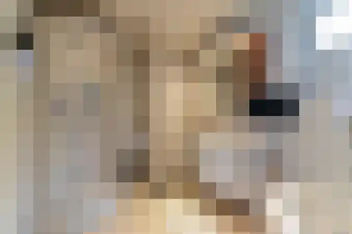 Bremweg 17 Venlo thumbnail 17