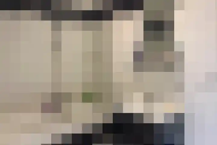 Bremweg 17 Venlo thumbnail 19
