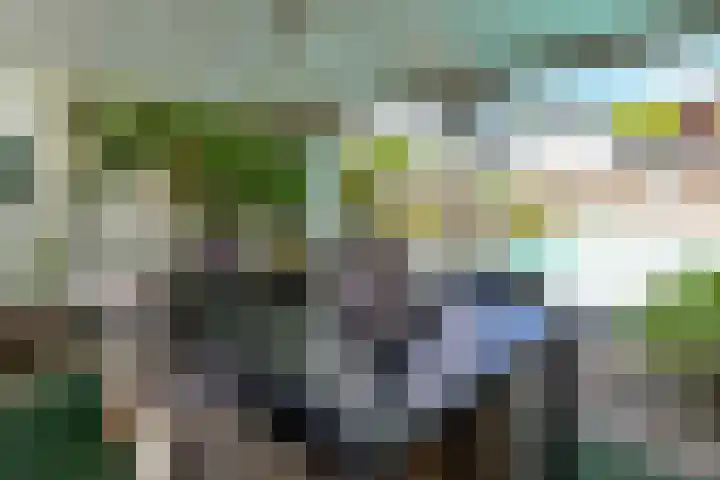 Bremweg 17 Venlo thumbnail 22