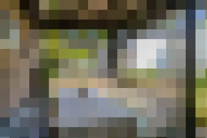 Bremweg 17 Venlo thumbnail 25