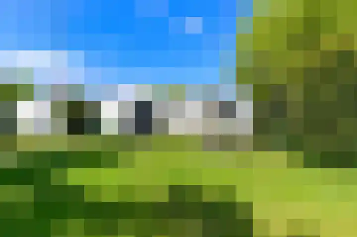 Bremweg 17 Venlo thumbnail 35