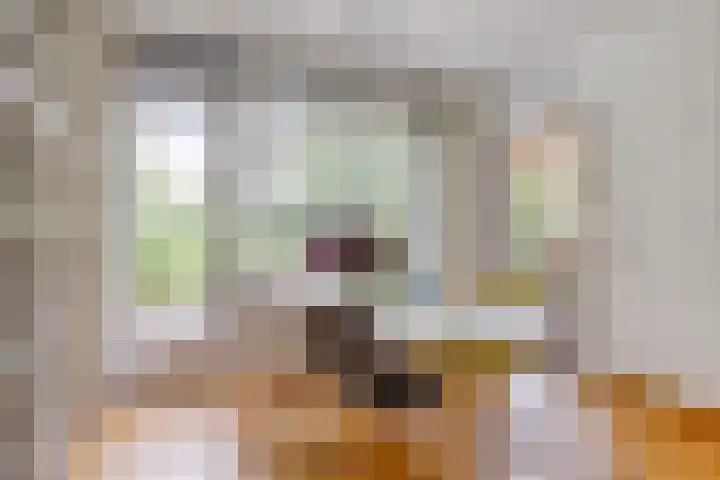 Bremweg 21 Harfsen thumbnail 11