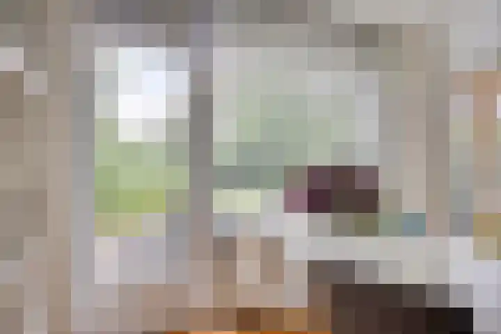 Bremweg 21 Harfsen thumbnail 12