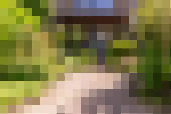 Bremweg 21 Harfsen thumbnail 18