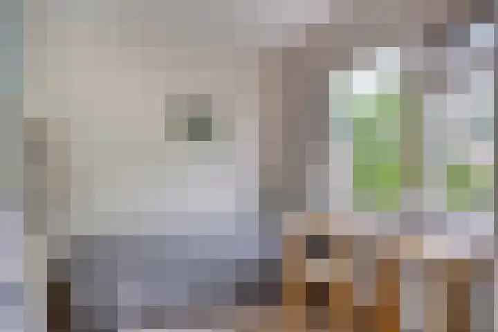 Bremweg 21 Harfsen thumbnail 19